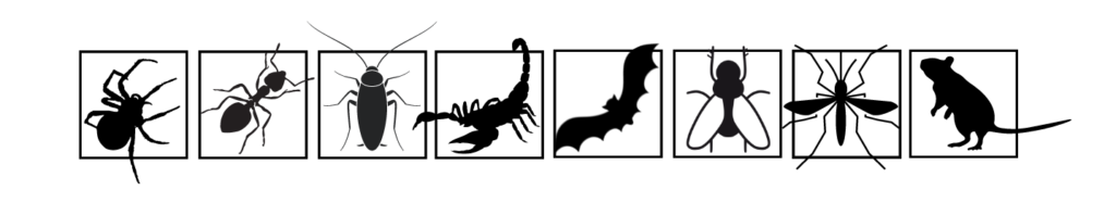 Fumigaciones de plagas