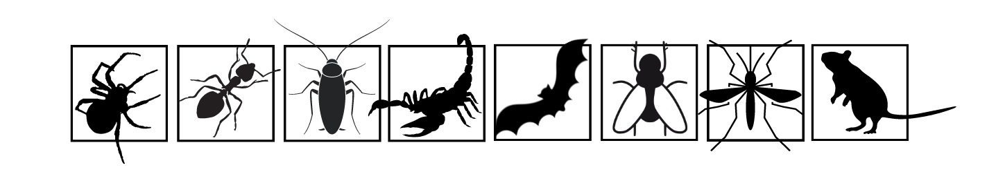 Fumigaciones de plagas