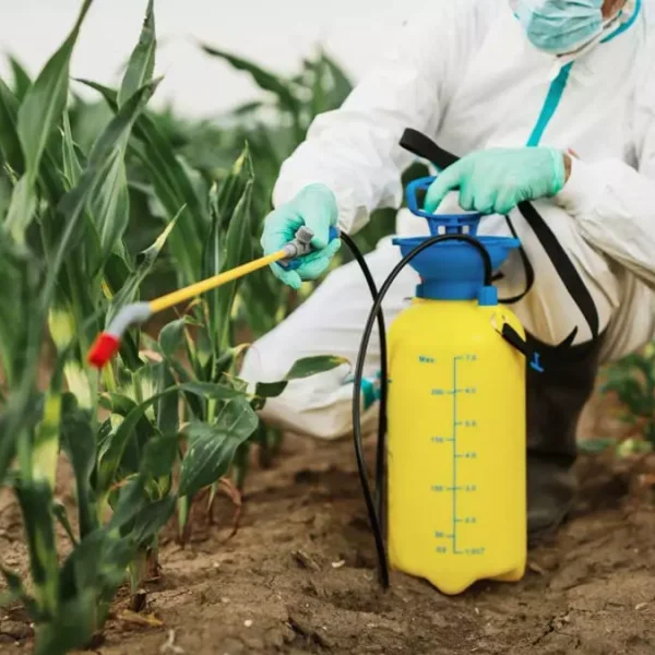 Control de plagas en san juan